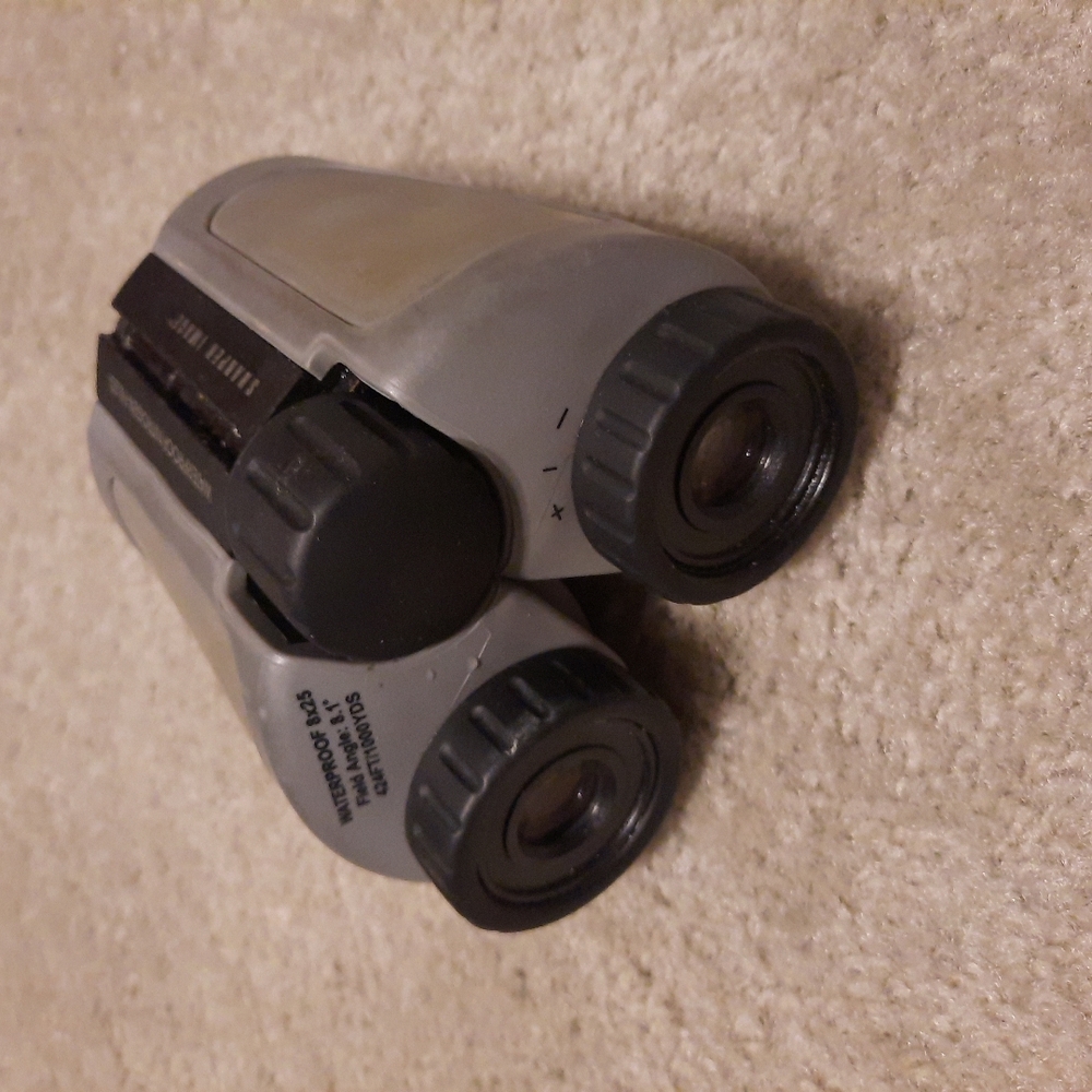 Gray Compact Binoculars for Outdoor Adventures